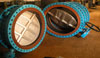 Butterfly Valves